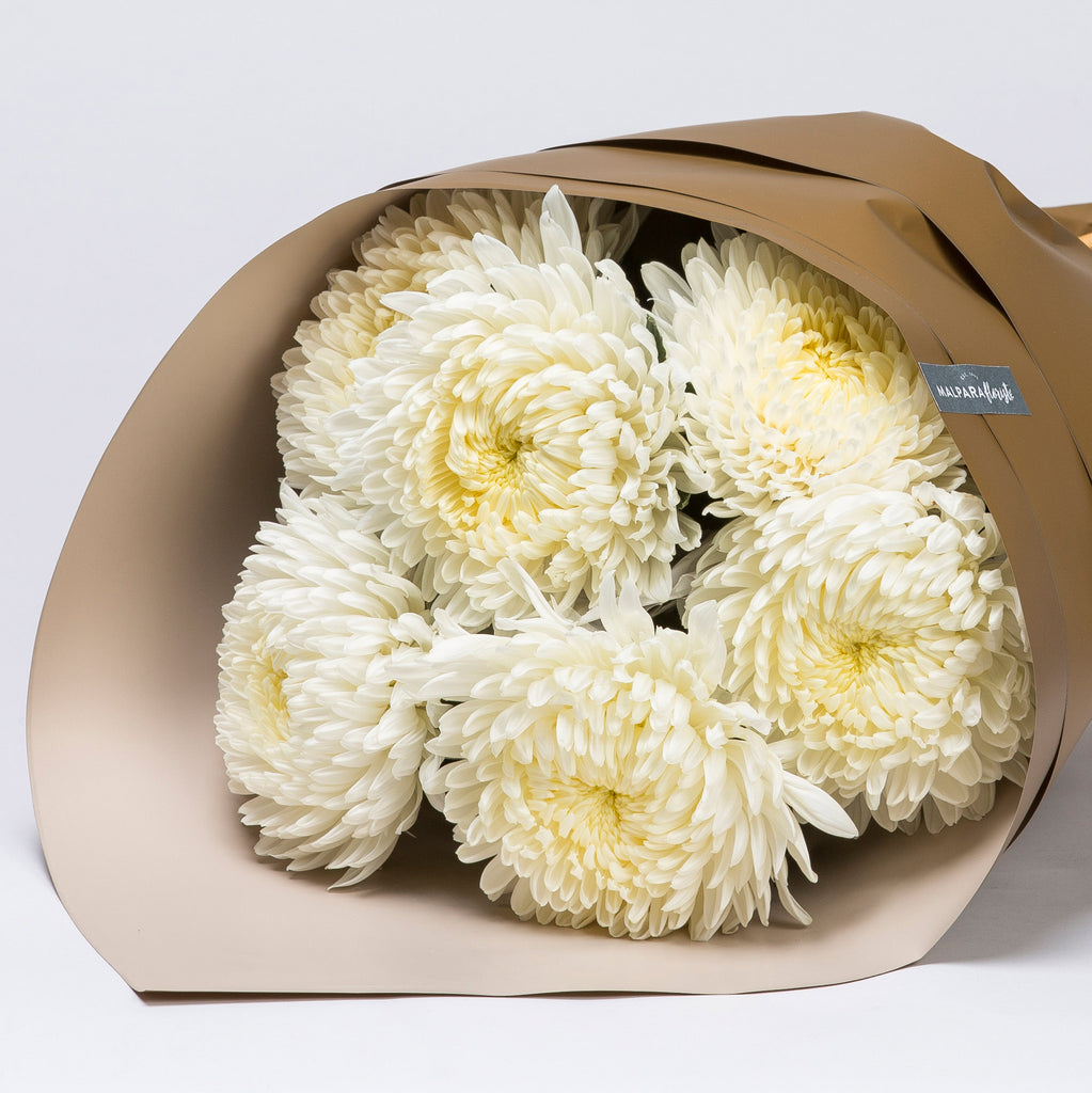 Buttercup Malpara Florist