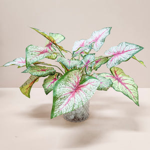 Faux Arrangement