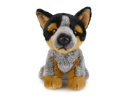 Plush the Blue Heeler