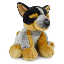 Plush the Blue Heeler